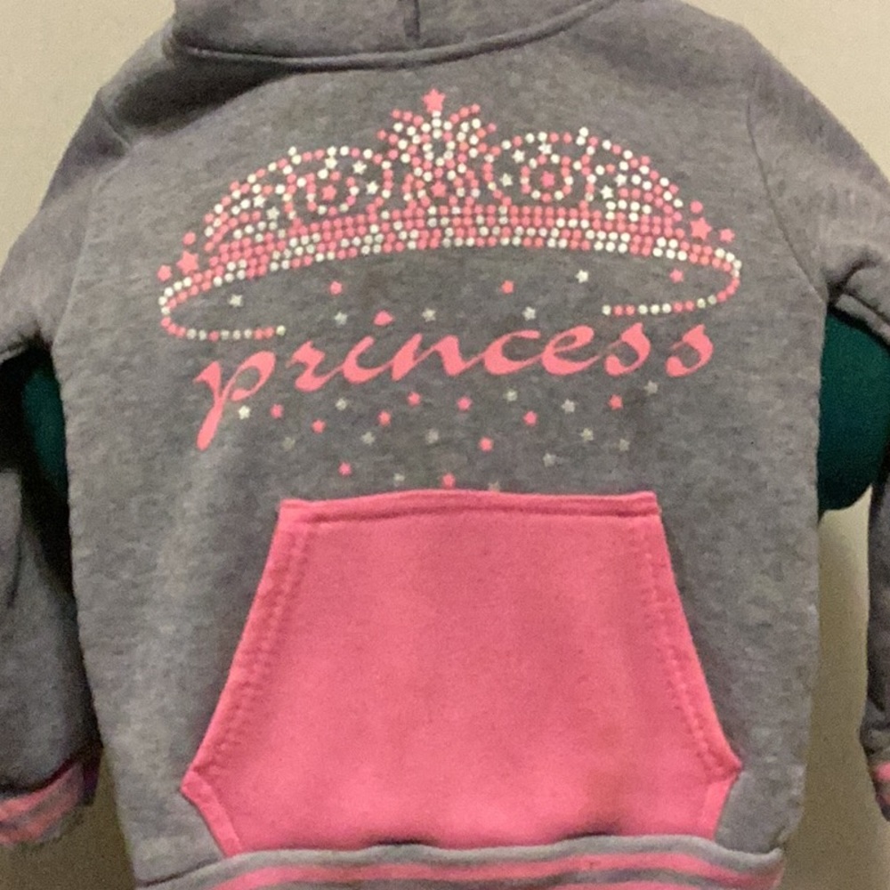 Coney Island 4T Pink& Gray Hoodie Princess Carter’s floral pants, West Coast T - Picture 2 of 16